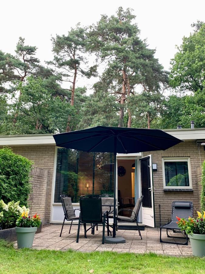 Rode Bosuil: Thuiskomen Op De Veluwe! 欧特罗 外观 照片