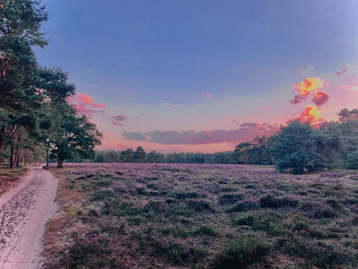 Rode Bosuil: Thuiskomen Op De Veluwe! 欧特罗 外观 照片
