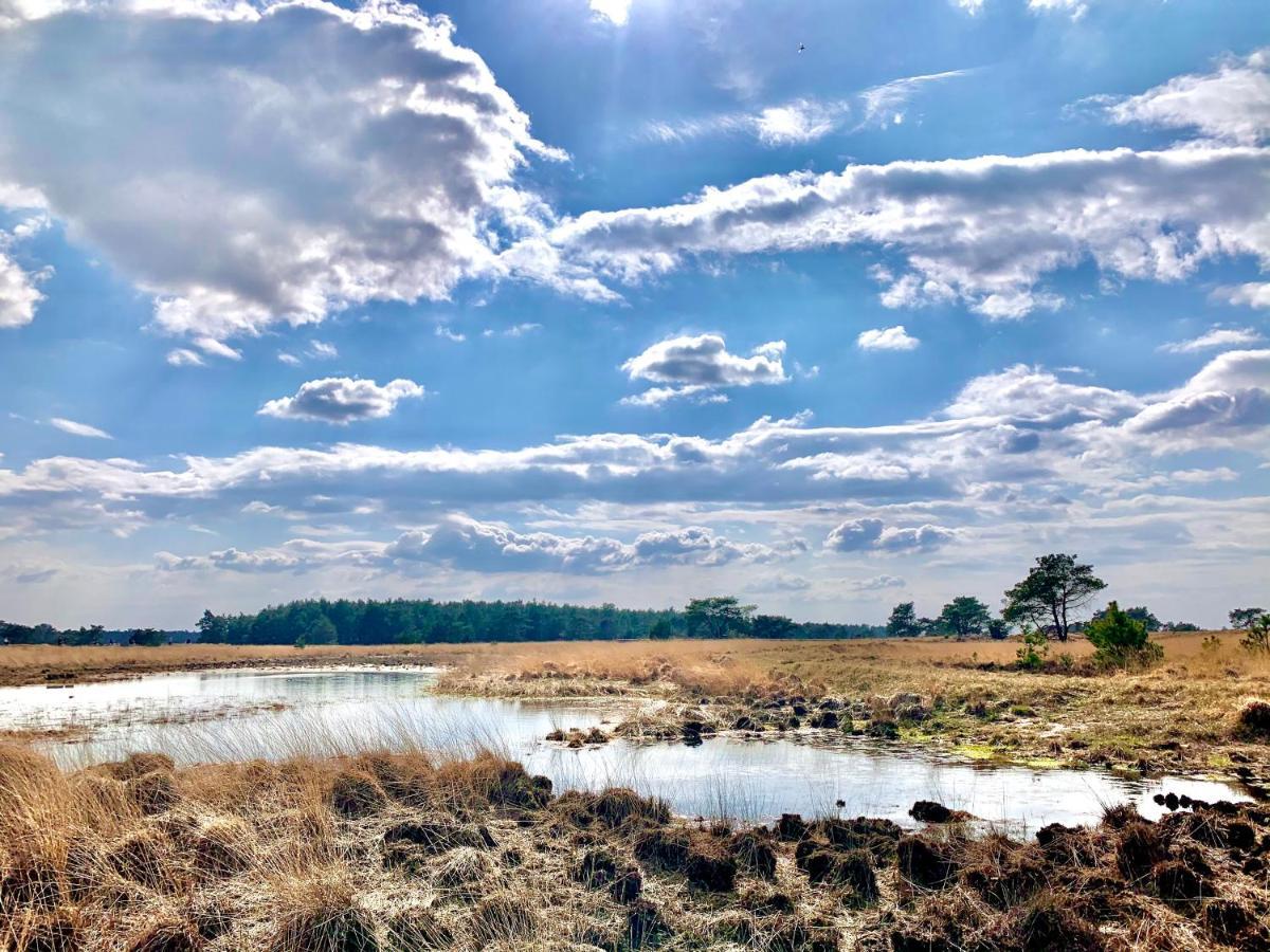 Rode Bosuil: Thuiskomen Op De Veluwe! 欧特罗 外观 照片