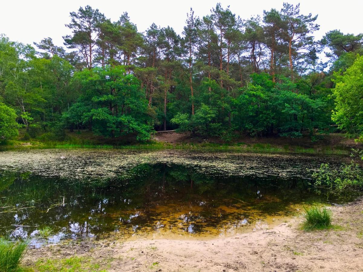 Rode Bosuil: Thuiskomen Op De Veluwe! 欧特罗 外观 照片