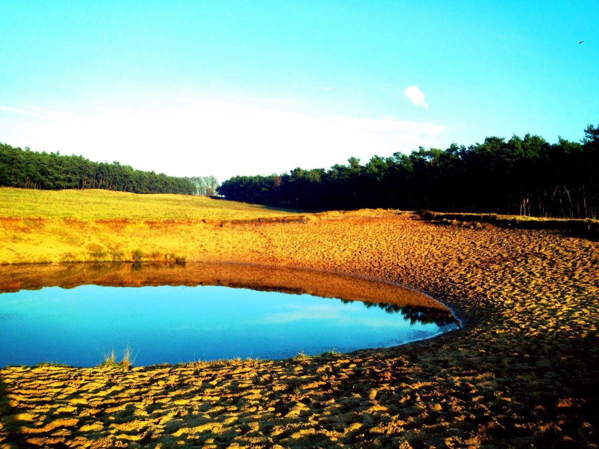 Rode Bosuil: Thuiskomen Op De Veluwe! 欧特罗 外观 照片
